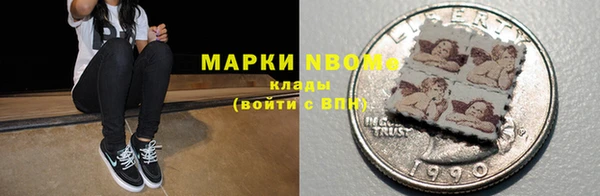ПСИЛОЦИБИНОВЫЕ ГРИБЫ Горняк
