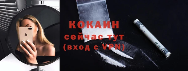 ПСИЛОЦИБИНОВЫЕ ГРИБЫ Горняк