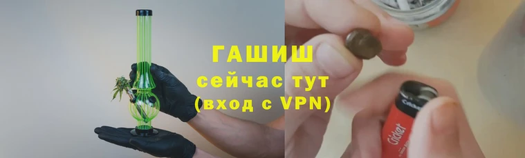 крисы Горно-Алтайск