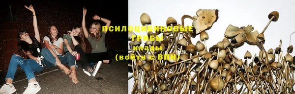 кокс Горнозаводск