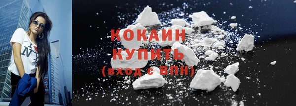 ПСИЛОЦИБИНОВЫЕ ГРИБЫ Горняк