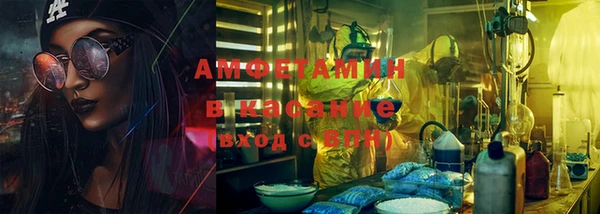 ПСИЛОЦИБИНОВЫЕ ГРИБЫ Горняк