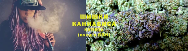 ПСИЛОЦИБИНОВЫЕ ГРИБЫ Горняк