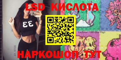 индика Нальчик