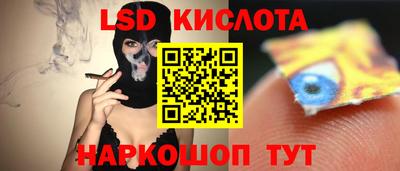 индика Нальчик
