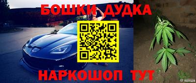 индика Нальчик