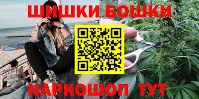 индика Нальчик