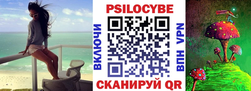 OMG ссылки  Южноуральск  Псилоцибиновые грибы Psilocybe 