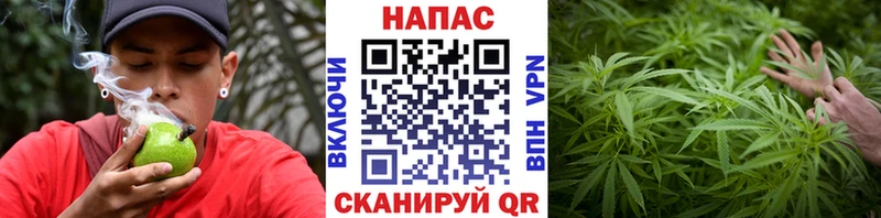 Конопля Amnesia  как найти   Южноуральск 